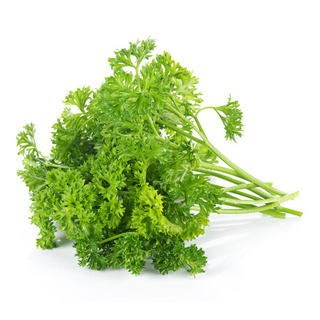 BIO PERSIL FRISE 12PCS